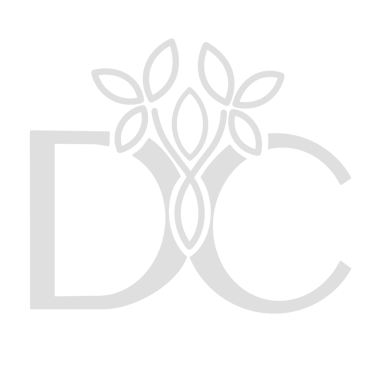 Dra Diana Cruz logo