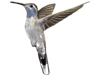 Jennifer Mae Simmens logo