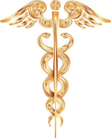 SRETEN STANIC CONSULTING logo