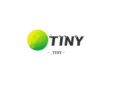 TINYOFFSHORE COM LLC logo