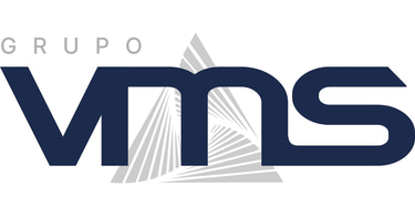 GRUPO VMS logo