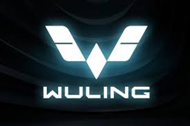 Wuling Surabaya Pusat logo