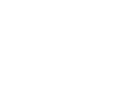 Adrià Solà Pastor logo