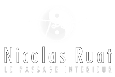 Nicolas Ruat - Le Passage Intérieur logo