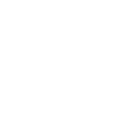 Luna y Nora logo
