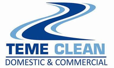 Teme Clean logo