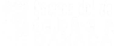 BioBridge Initiative logo