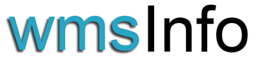 WMSInfo logo