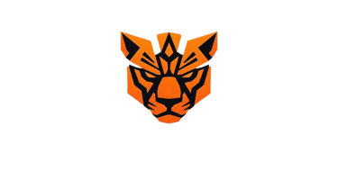 AgileEdge Consulting logo