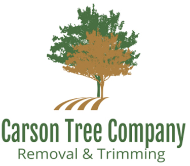 Carson Tree Company logo