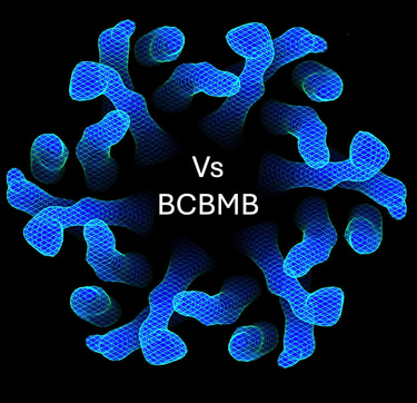 VsBCBMB logo