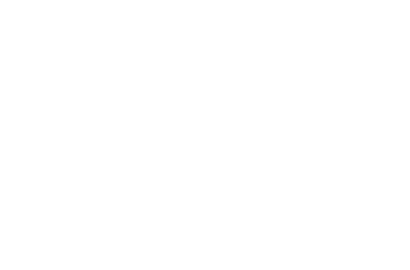 Steve Raleigh logo