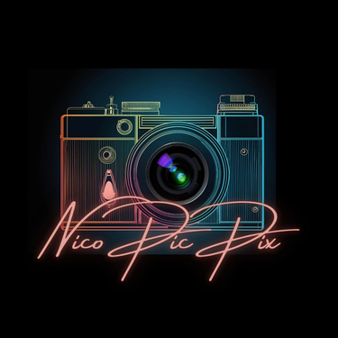 Nico PIC PIX logo