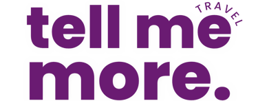 TellMeMore Travel logo
