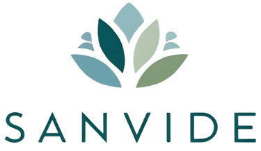 SanVide Store logo