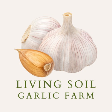 Living Soil Garlic Farm logo
