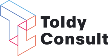 Toldy Consult Vállalati és Pénzügyi Mentoring logo