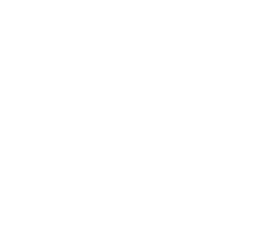 Antonella Millan logo