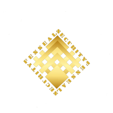 Fenseal Security Force (India) Private Limited logo