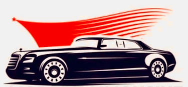 marin town cars and limousines service logo