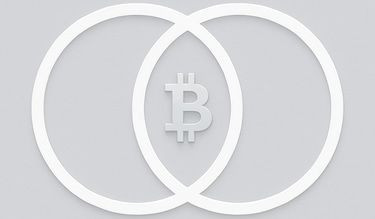 Danish Bitcoin Policy Institute. logo
