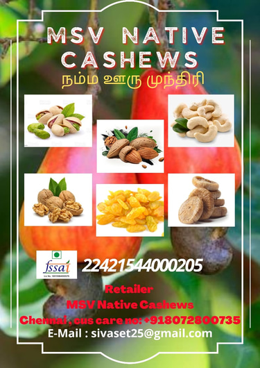 msvnative dry fruits&nuts logo