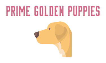 Prime Puppies logo