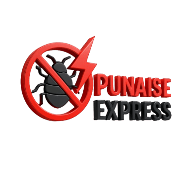 Punaise express logo