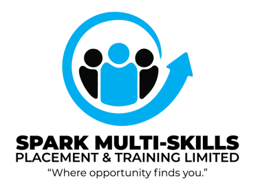 Spark Multi-Skills Placement & Training Ltd logo
