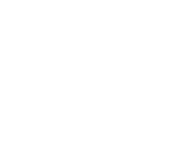 bulbulstudio logo