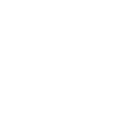 Nervium logo