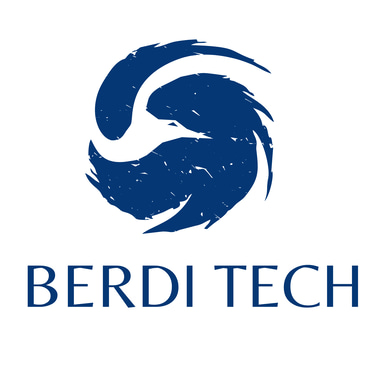 Berdi Tech logo
