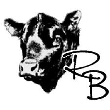 Raúl Battistoni & CIA SRL Consignatario logo