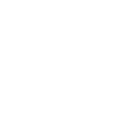 Diver Soul logo