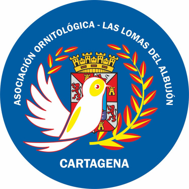 Ornitologia. logo