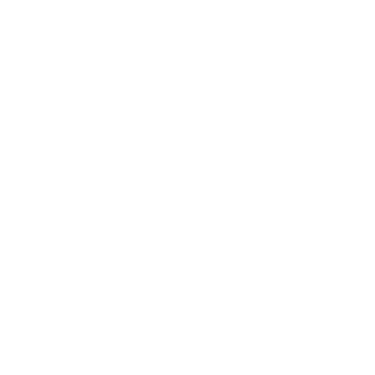 Flores Media Group logo