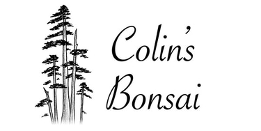 Colin's Bonsai logo