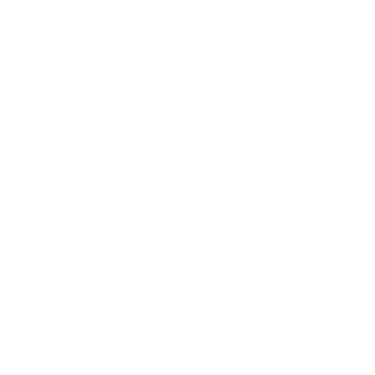 Spartan Home Services logo