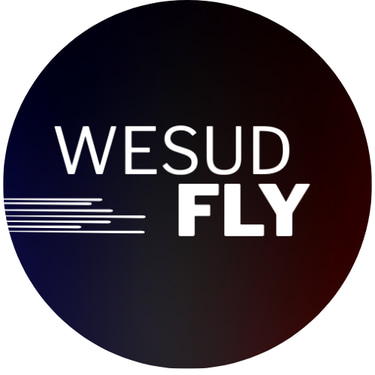 Wesud Fly logo