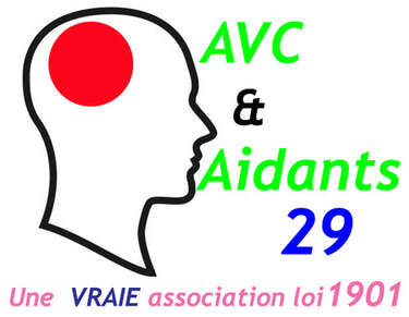 avca29 logo