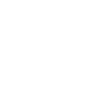 BDI Digital logo