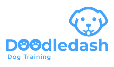 Doodledash Dog Training logo