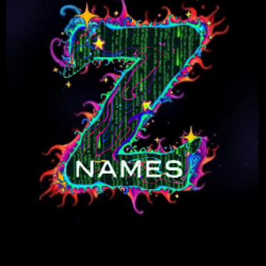 Z names logo