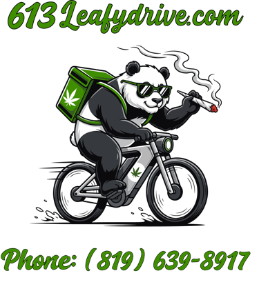 613LeafyDrive: Premium Cannabis, Edibles & Concentrates - Ottawa Delivery logo