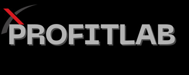 Profitlabhub logo