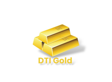 DTI Gold logo