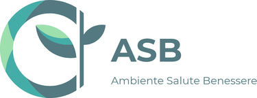 ASB Italia Srl logo