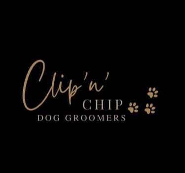 Clip 'N' Chip logo