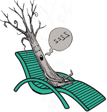 Alquiler Descanso Cadiz logo
