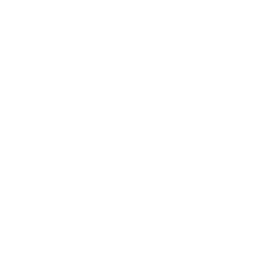 SAS S-Track logo